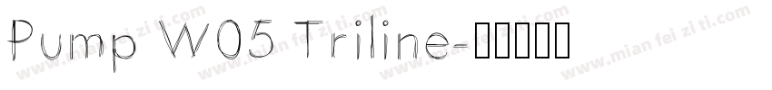 Pump W05 Triline字体转换